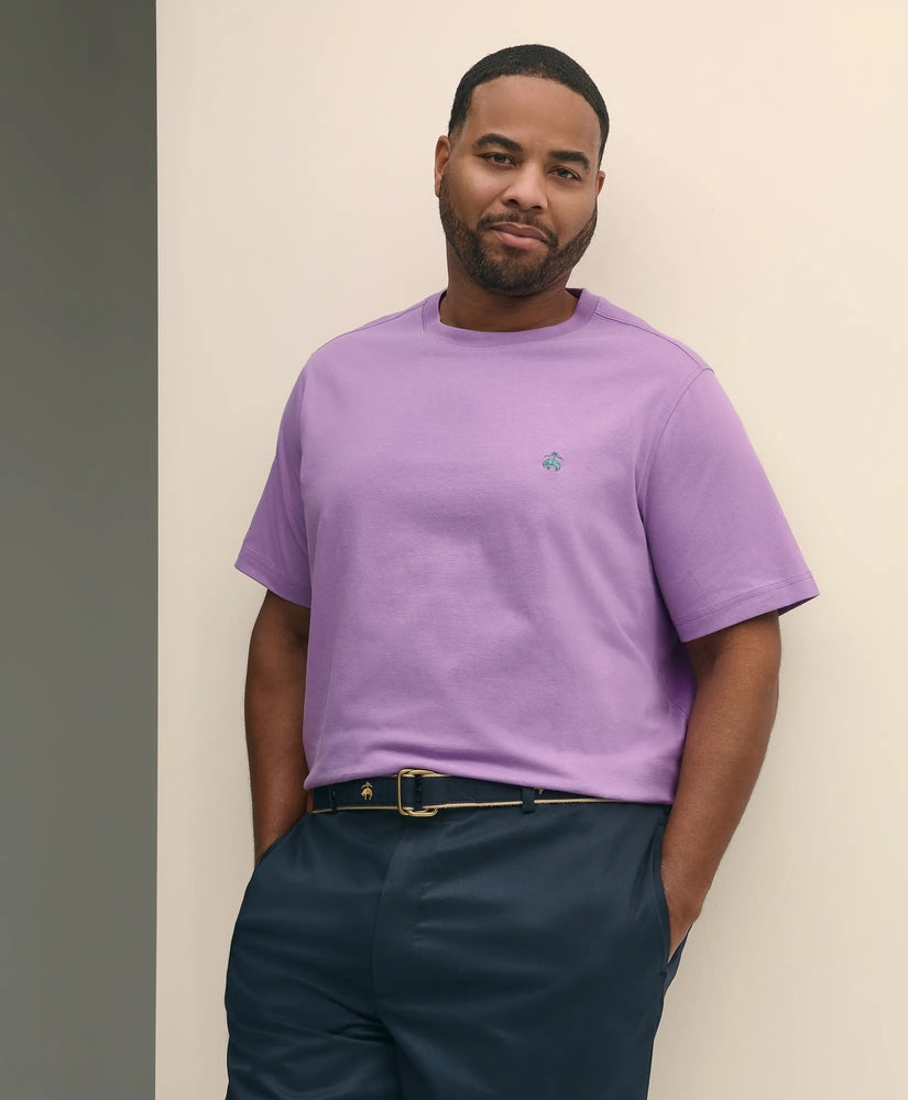 Brooks Brothers Sale Big & Tall Cotton Jersey T-Shirt