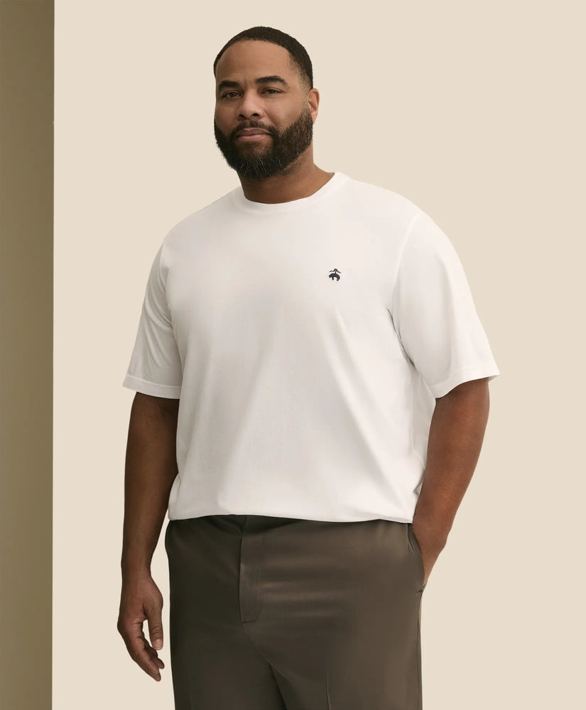 Brooks Brothers Men Big & Tall Supima